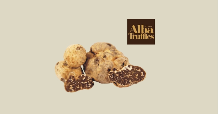Bianchetto o Marzuolo Truffle
