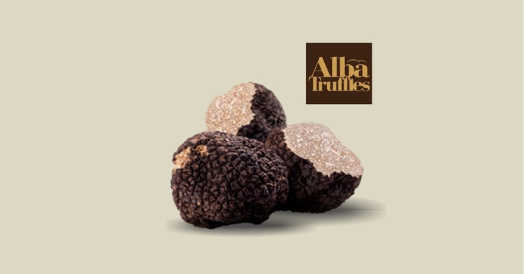 Black Summer Truffle of Piedmont