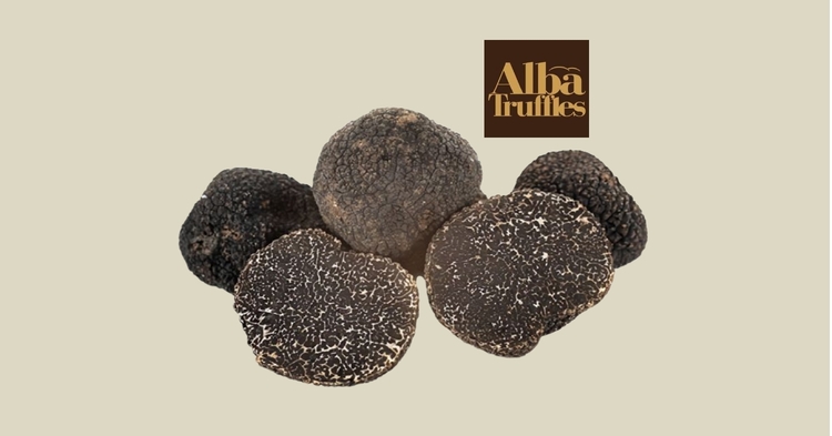 BLACK WINTER TRUFFLE